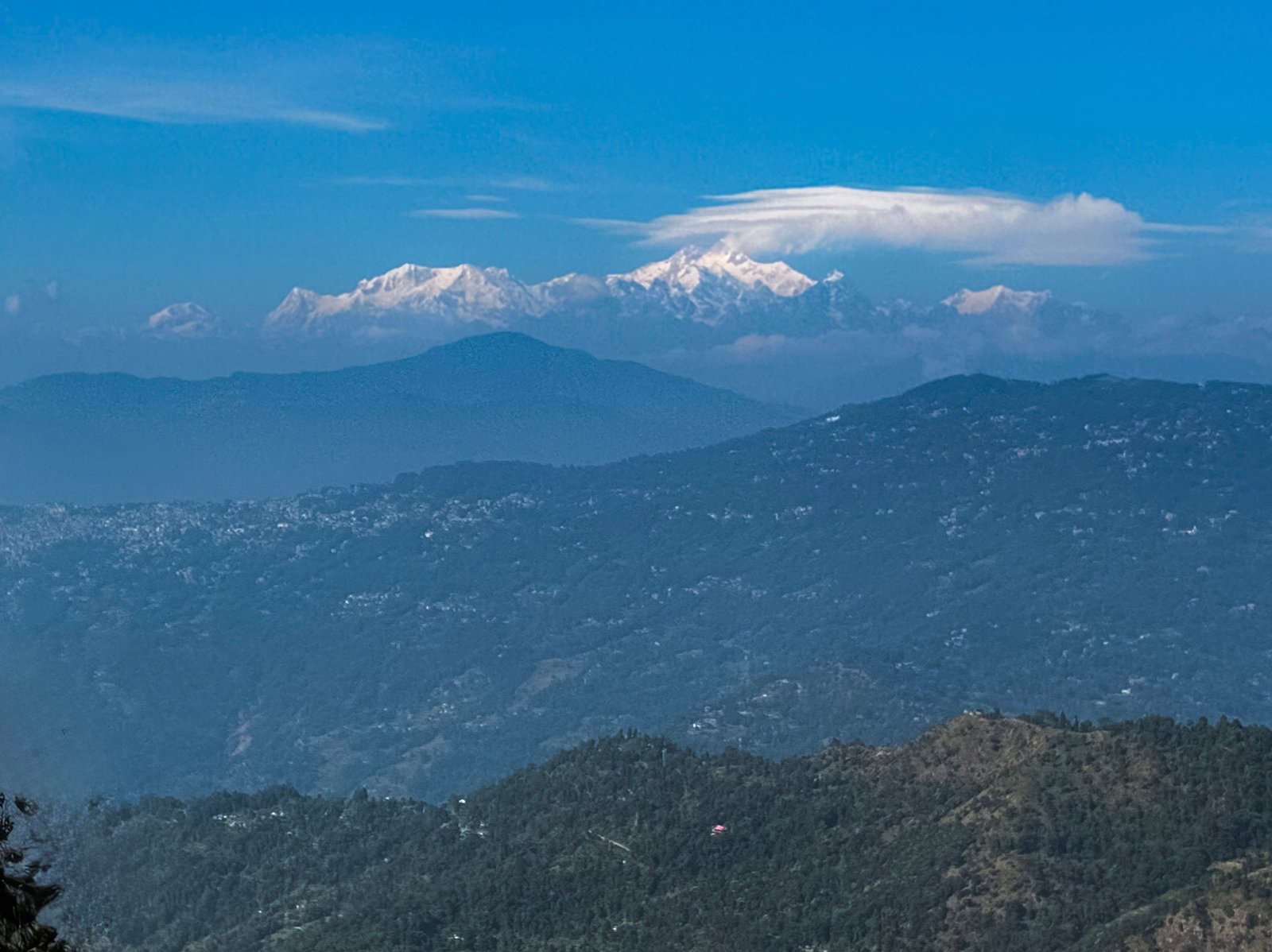 Room Media