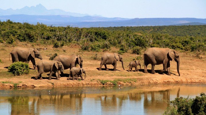 Neora Valley National Park